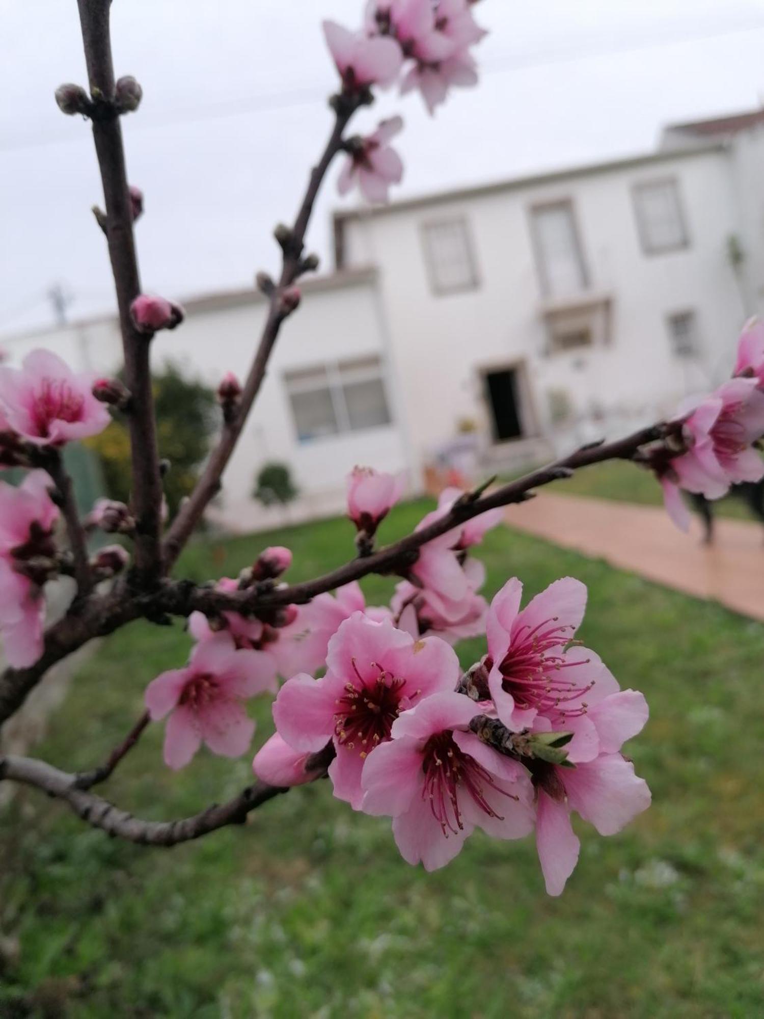 Torre De Santiago - Guest House 维拉·普拉亚·德·安科拉 外观 照片